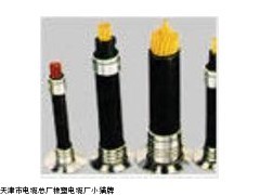 哪里生产计算机电缆_供应产品_天津市电缆总厂橡塑电缆厂小猫牌